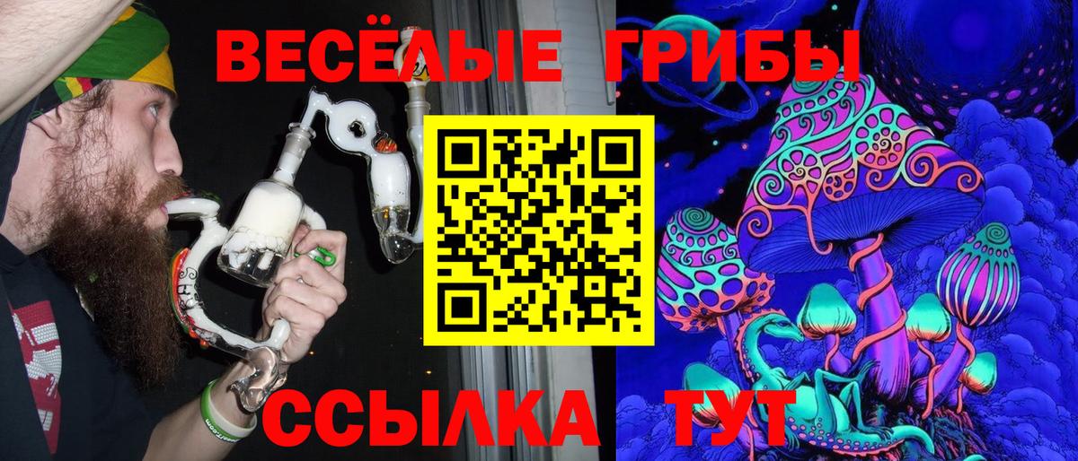 Псилоцибиновые грибы мухоморы Владикавказ